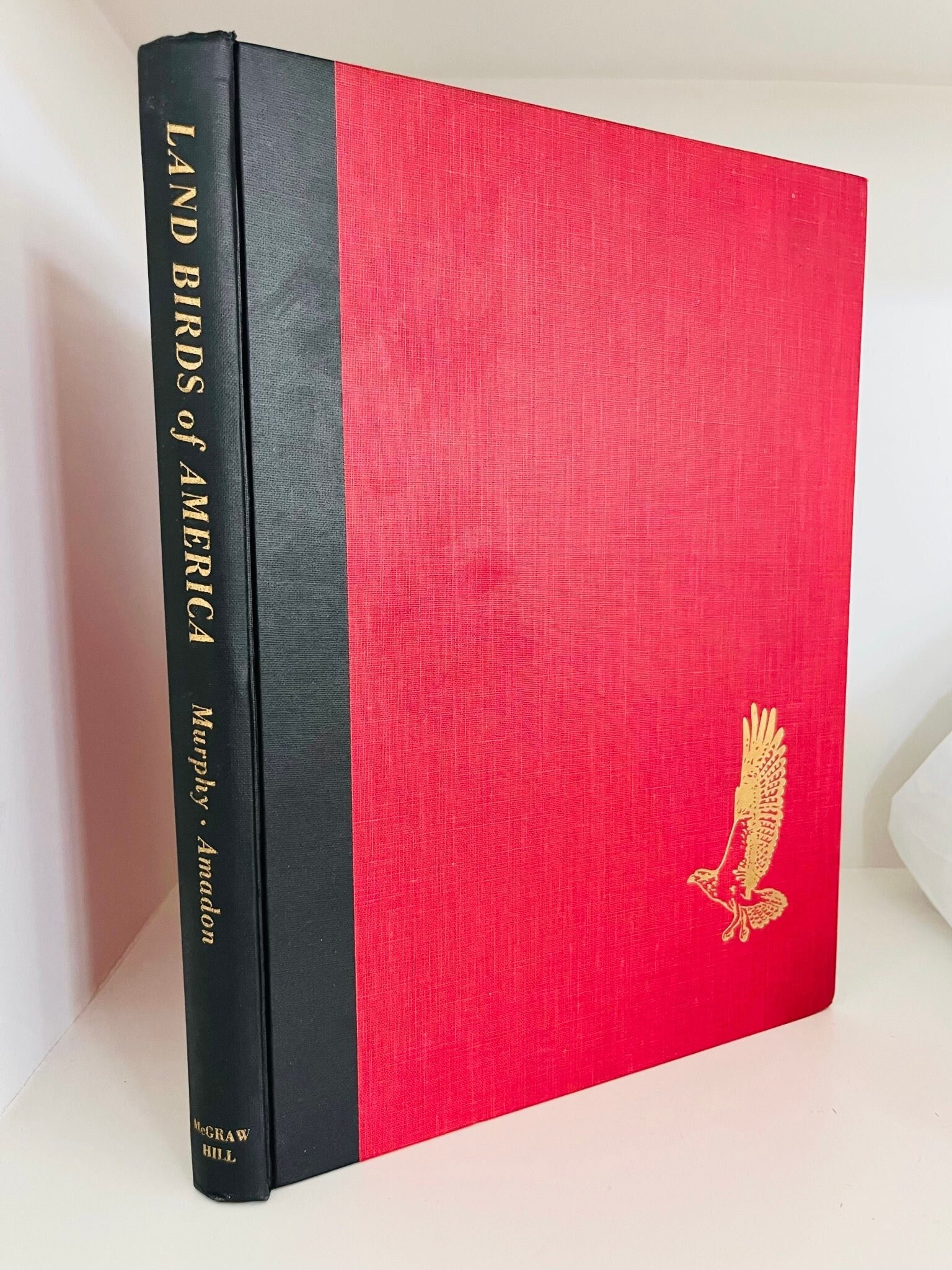 100年前の古書　希少　1923年　Birds and their young The First Bird Book | AraderBooks