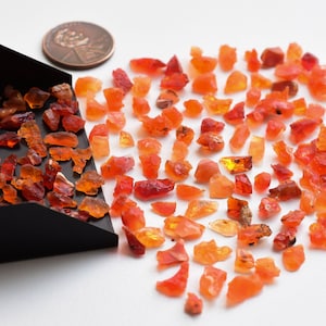 May include: A collection of small, rough, orange and red fire opal gemstones. The gemstones are scattered on a white surface and in a black tray. A US penny is included for scale.