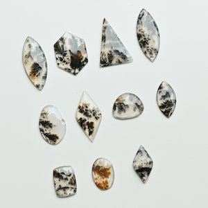 May include: A selection of polished dendritic agate gemstones in diverse shapes, such as oval, teardrop, and geometric forms. The stones display intricate, tree-like patterns in black, brown, and white, set against a translucent backdrop.