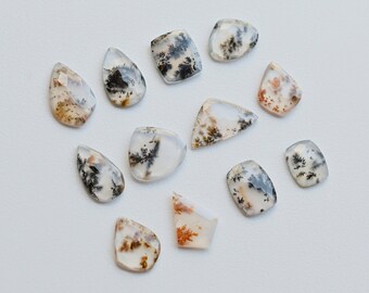 May include: A collection of twelve dendritic agate cabochons in various shapes and sizes. The stones are translucent and feature a dendritic pattern in shades of white, gray, and brown.