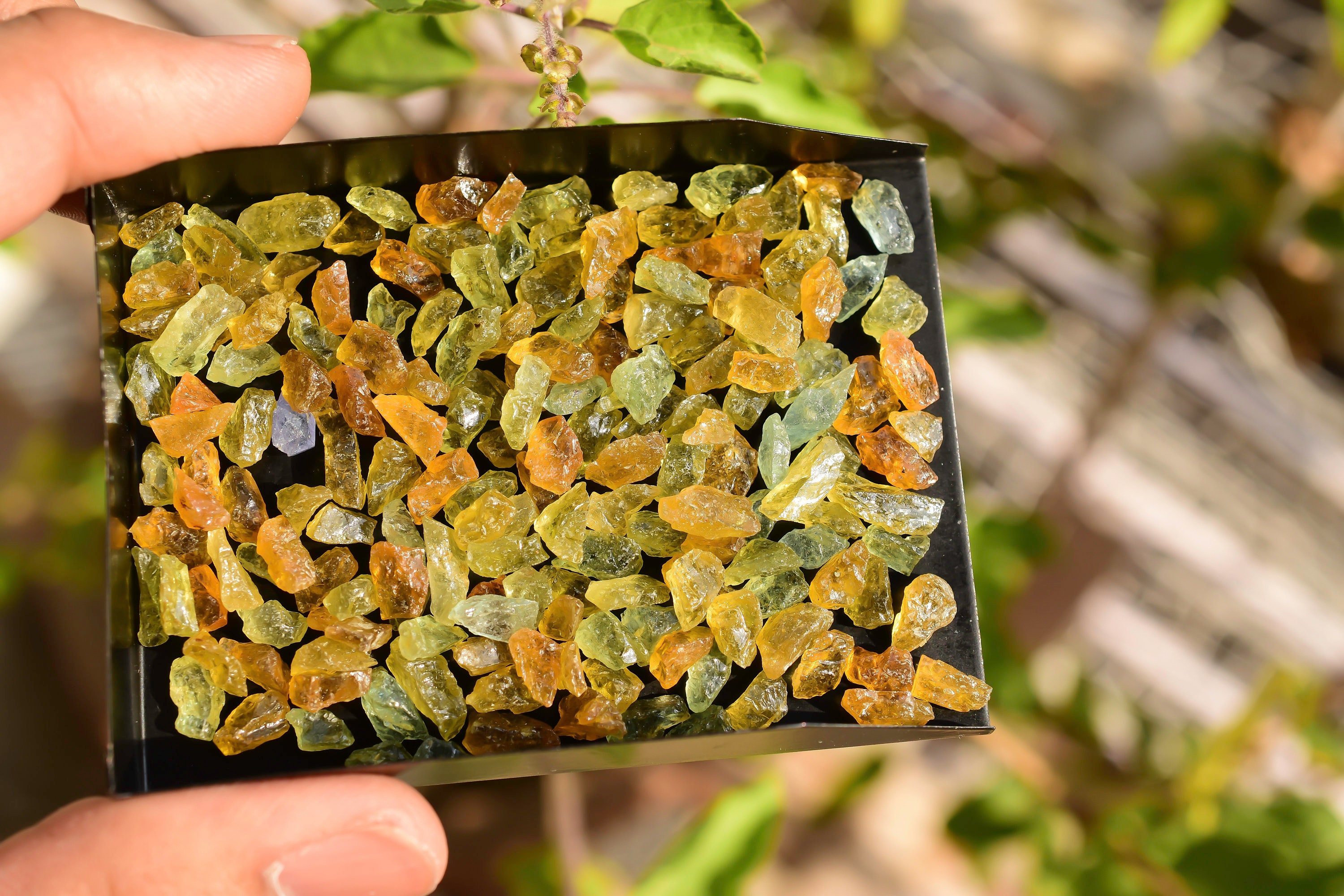 25 Pieces Mix Beryl Raw Natural Gemstones Rough From Africa | Raw ...