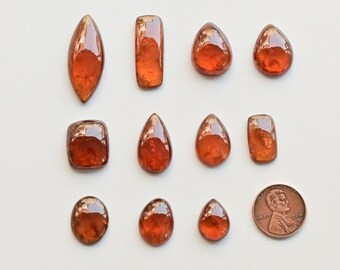 May include: An assortment of polished, orange-red gemstones in various shapes, including teardrops, ovals, and rectangles. A penny is included for size comparison. The gemstones are displayed on a white surface.