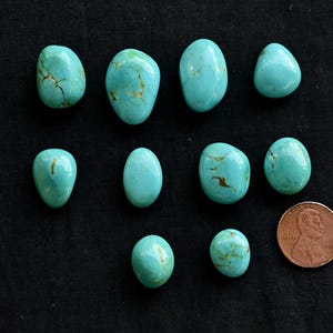 Puede incluir: Colección de once piedras turquesas pulidas con vetas marrones, dispuestas sobre una superficie negra. Se incluye una moneda para comparar el tamaño. Las piedras varían en forma y tamaño, mostrando variaciones naturales de color y textura.