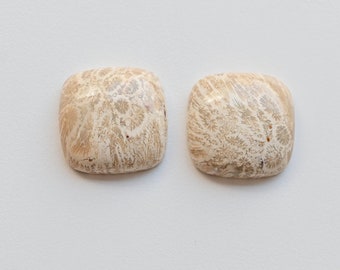 Pair of Fossil Coral Cushion Cabochon Lot Natural Gemstone | 25x25x8 MM | DIY Jewelry