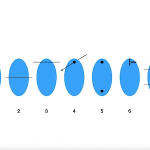 May include: Diagram of seven blue oval shapes with black lines and markings. The shapes are numbered 1 through 7. Lines indicate cuts, measurements, and points of interest for gemological analysis.