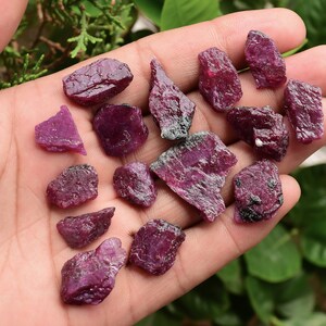 May include: A collection of raw ruby gemstones in various sizes and shapes. The rubies are a deep red colour and have a natural, unpolished finish.