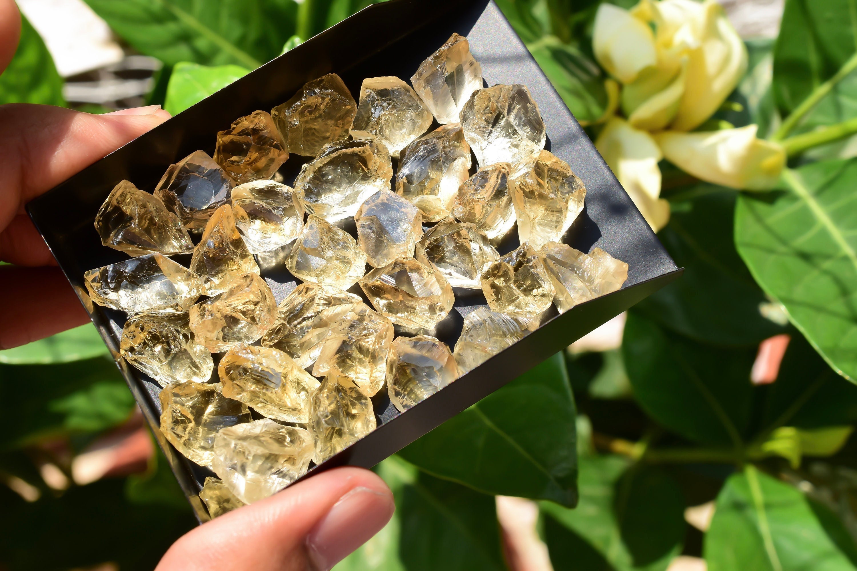 10 Pieces Electric Yellow Citrine Natural Gemstone Raw | Clear Quality Rough Gems for Jewelry making