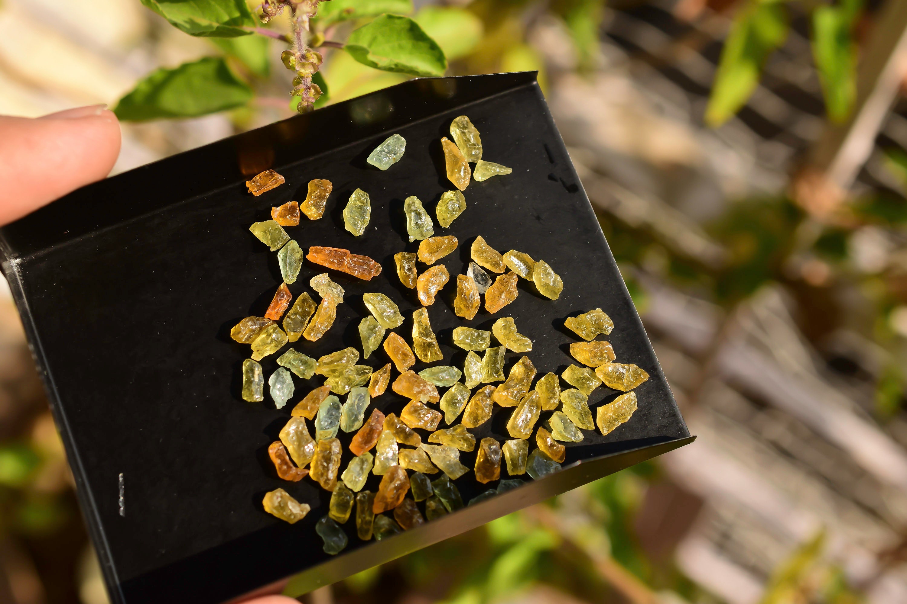 25 Pieces Mix Beryl Raw Natural Gemstones Rough From Africa | Raw ...