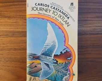 Vtg Journey to Ixtlan: The Lessons of Don Juan 1972 Paperback Book, by Carlos Castaneda, Pocket Books, 1rst Printing 1974