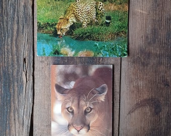 Pair of Vtg 1970s/80s Big Cat Postcards
