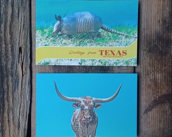 Pair of Vtg 1950s Armadillo & Longhorn Postcards, Royal Coach Inn, Dallas, Texas