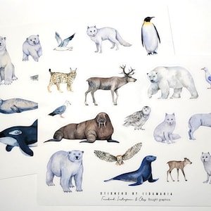Arctic Animals, deer whale polarbear penguin owl seagull wolf lynx seal walrus caribu artic fox