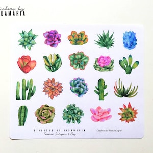 Succulent plant cactus stickers, mehikasvi kaktus tarrat