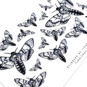 Skullmoth stickers