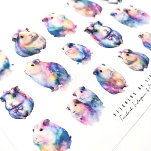 Pastel Galaxy Guineapig -stickers