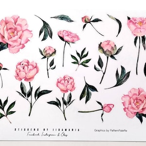 Peony Stickers, pink floral flower garden