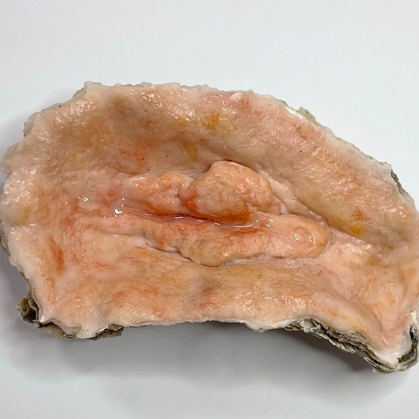 Pussy Oyster 1