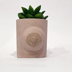 May include: A pink ceramic planter with a raised, round design, resembling a breast, and a small green succulent plant growing inside.