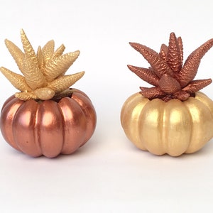 Pumpkin Planter Succulent Haworthia home decor holder faux pot