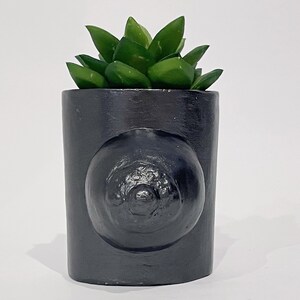 May include: A black ceramic planter with a raised, circular design. The planter is filled with a green succulent plant.