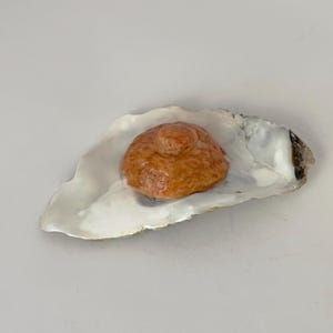 Nipple Oyster
