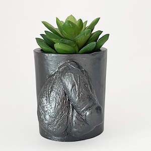 May include: A small, dark gray planter with a textured design, holding a vibrant green succulent plant. The planter has a cylindrical shape and a detailed, embossed pattern on its surface. The succulent has multiple green leaves.