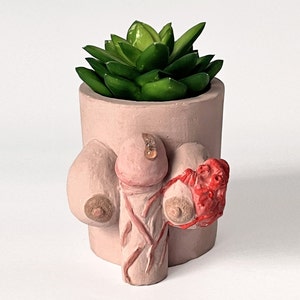 Boob Penis Heart Planter nude penis pot Testicle succulent  eco friendly cup pencil pen holder