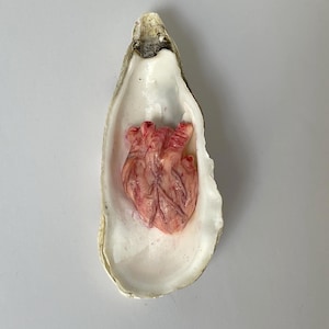 Heart Oyster