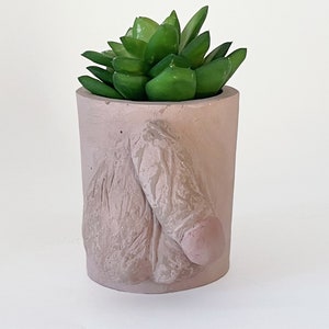 May include: A light pink concrete planter shaped like a human body with a small green succulent plant inside.