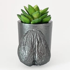 May include: A small, dark gray planter with a textured, sculptural design on the front. The planter holds a vibrant green succulent plant. The overall aesthetic is modern and minimalist, suitable for home decor.