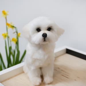 Needle felted, dog lovers gift, pet sympathy, Custom Felt Animal of Your Pet From Photo