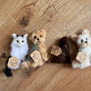 May include: Four plush animal ornaments: a white cat with black markings, two dogs in shades of brown and tan, and a white dog. Each has a small tag that says "Thank You".