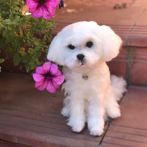 Christmas Pet gift , Custom dog portrait ,Needle felted dog, Maltese Shih tzu