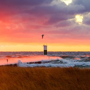 November Gales Photo