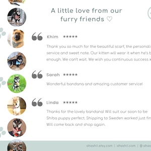Puede incluir: Un collage de rese&ntilde;as de clientes con fotos de perros usando bandanas y bufandas. El texto dice "Un poco de amor de nuestros amigos peludos" e incluye el nombre de la empresa "ohashii".