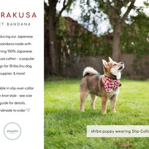 Puede incluir: Un cachorro Shiba Inu con un pa&ntilde;uelo rojo con un patr&oacute;n japon&eacute;s blanco. El pa&ntilde;uelo es de estilo de cuello deslizante. El cachorro est&aacute; de pie sobre hierba verde y mirando hacia arriba. El texto "shiba puppy wearing Slip-Collar (Small)" est&aacute; en la parte inferior de la imagen.