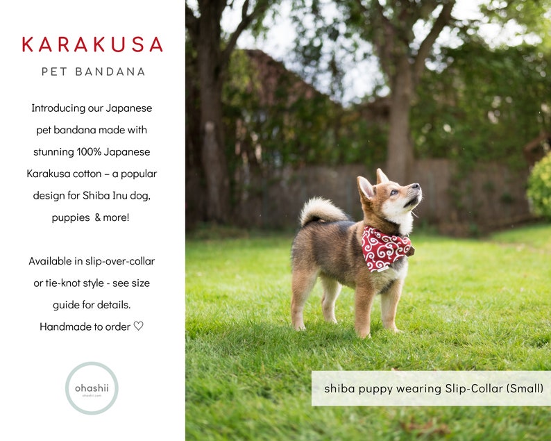 Puede incluir: Un cachorro Shiba Inu con un pa&ntilde;uelo rojo con un patr&oacute;n japon&eacute;s blanco. El pa&ntilde;uelo es de estilo de cuello deslizante. El cachorro est&aacute; de pie sobre hierba verde y mirando hacia arriba. El texto "shiba puppy wearing Slip-Collar (Small)" est&aacute; en la parte inferior de la imagen.