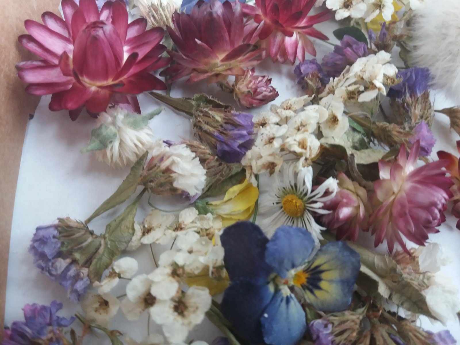 Small Dried Flowersmix Dry Flowersflowers for Resin 