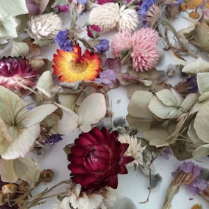 tiny dried flowers,Mix dry flowers,flowers for resin filling,floral decor,Flower Box random potpourri,little resin flowers,dry flower supply