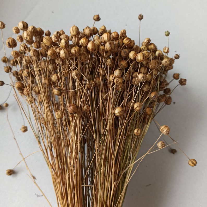 100 G Organic Flax Spray Etsy