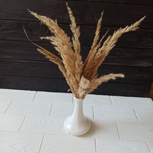 Dry Reed Grass,fall floral decor,Boho dried  flowers,Dry wedding flower,Pampas Grass,dry wedding decor,fall flower decor,dried home flower