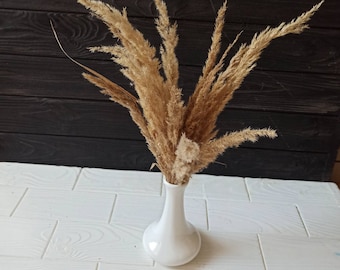 Droge Riet Gras, herfst bloemen decor, Boho gedroogde bloemen, Droge bruiloft bloem, Pampas Gras, droge bruiloft decor, herfst bloem decor, gedroogde huis bloem