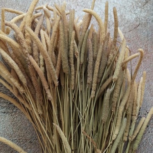 100 pcs Timothy hay, Timothy grass,rabbit sprays,Timothy Hay Tips,Small Animal Treat, Guinea Pig Treat, Chinchilla Treat , Rabbit Treat