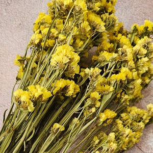 May include: A bundle of dried yellow statice flowers with long green stems. The flowers are clustered together, creating a full and textured appearance. The background is a neutral, textured surface.