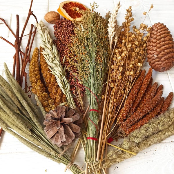 300グラムオーガニックハムスタースプレーセット