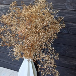 Preserved Dried Natural Gypsophila Baby Breaths \ Dried Flower Floral Design \ DIY Dried Flowers Wedding Bouquet