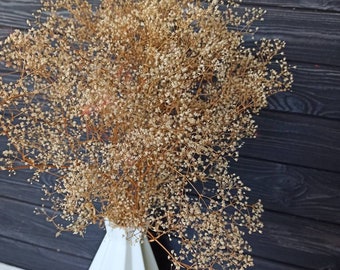 Gypsophila seca natural preservada | Diseño floral con flores secas | Ramo de boda con flores secas DIY