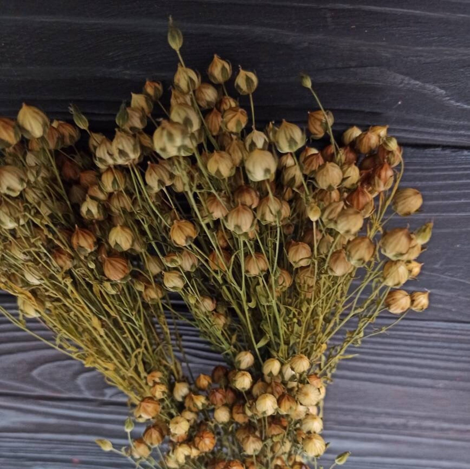 Organic Flax Spray Etsy