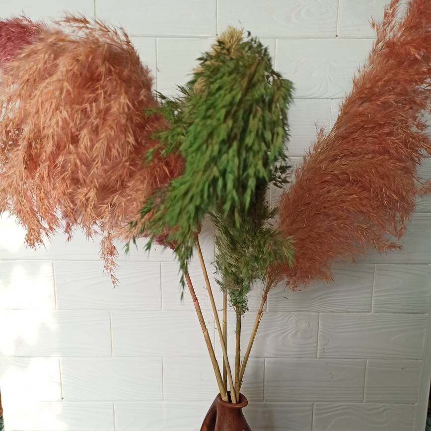 Flores secas espigas de trigo espigas de trigo 100 palos de trigo  decoración cola de conejo hierba natural boda flores secas DIY artesanía  álbum de recortes ramo Rojo Verde