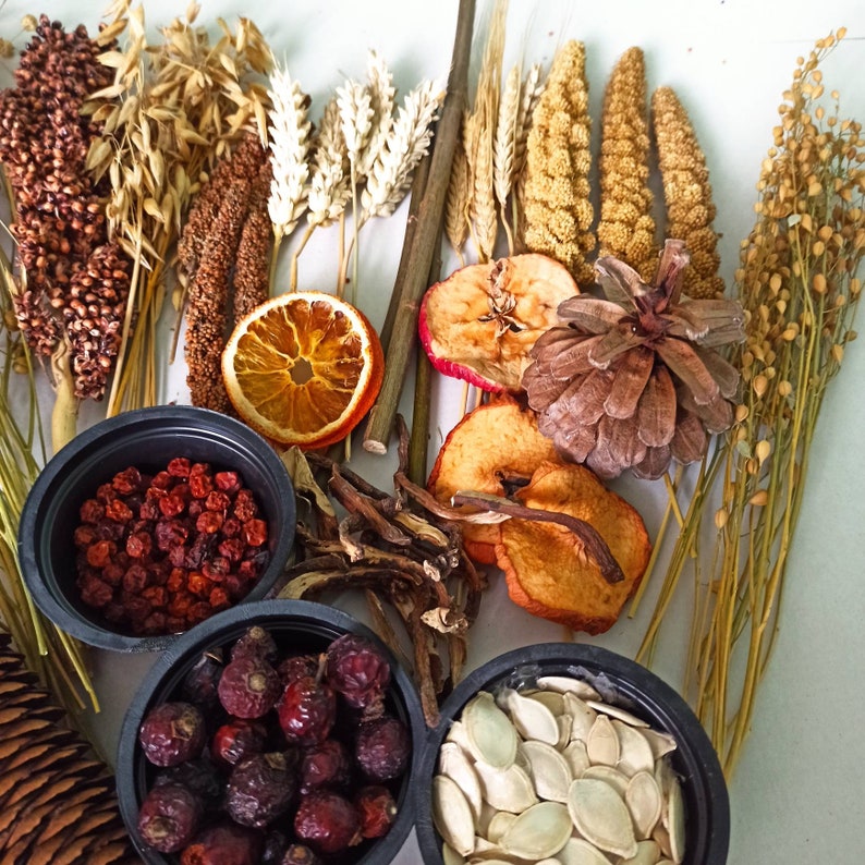 May include: A variety of dried botanicals and natural elements arranged on a white surface. The items include dried grasses, wheat, pine cones, dried fruit slices, and small bowls filled with dried berries and pumpkin seeds.